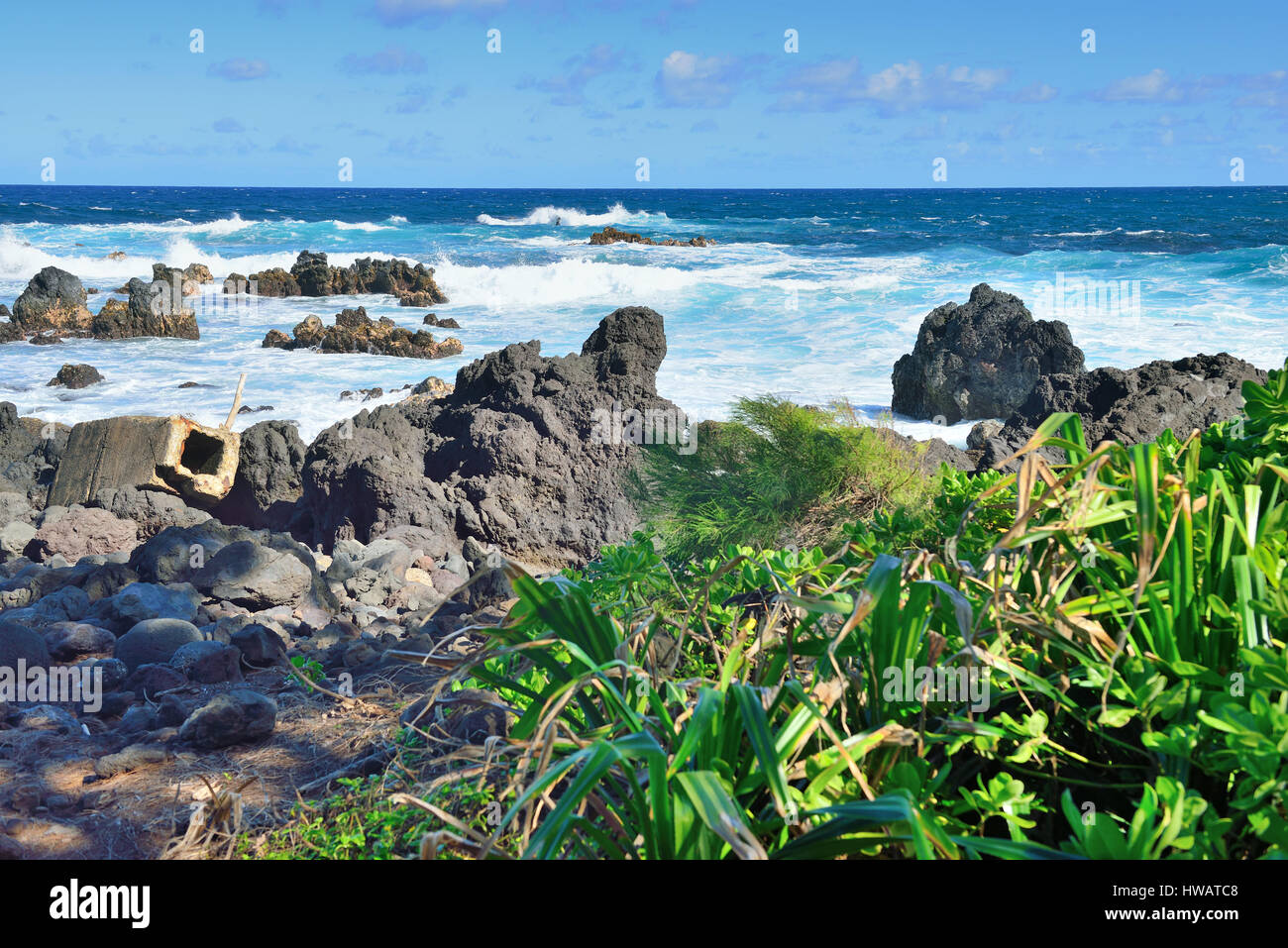 pacific ocean and lava rocks in Laupahoehoe beach park in the Big Island of Hawaii Stock Photo