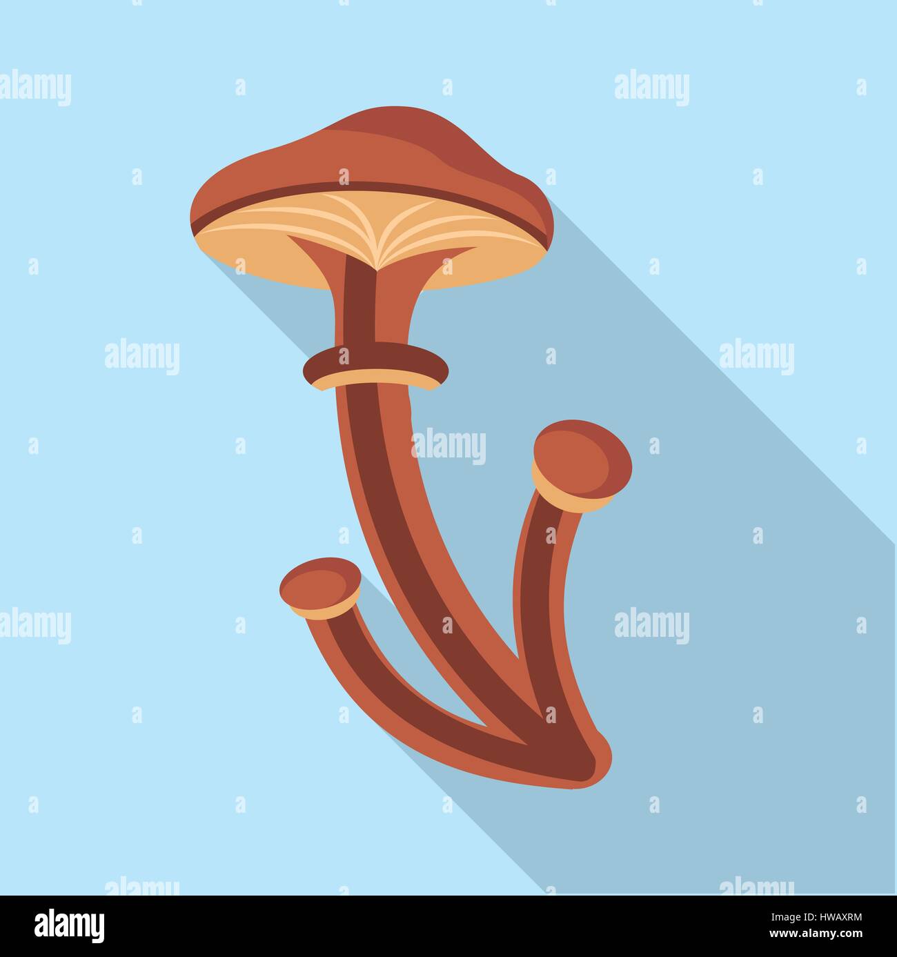 Armillaria mellea fungus icon, flat style Stock Vector