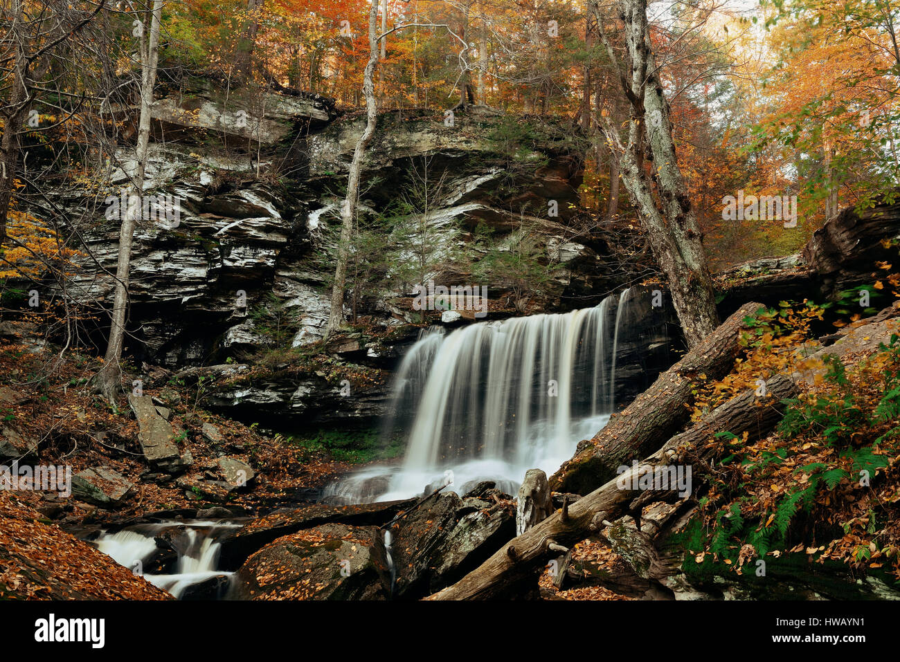 Autumn waterfalls in park with colorful foliage. Stock Photo