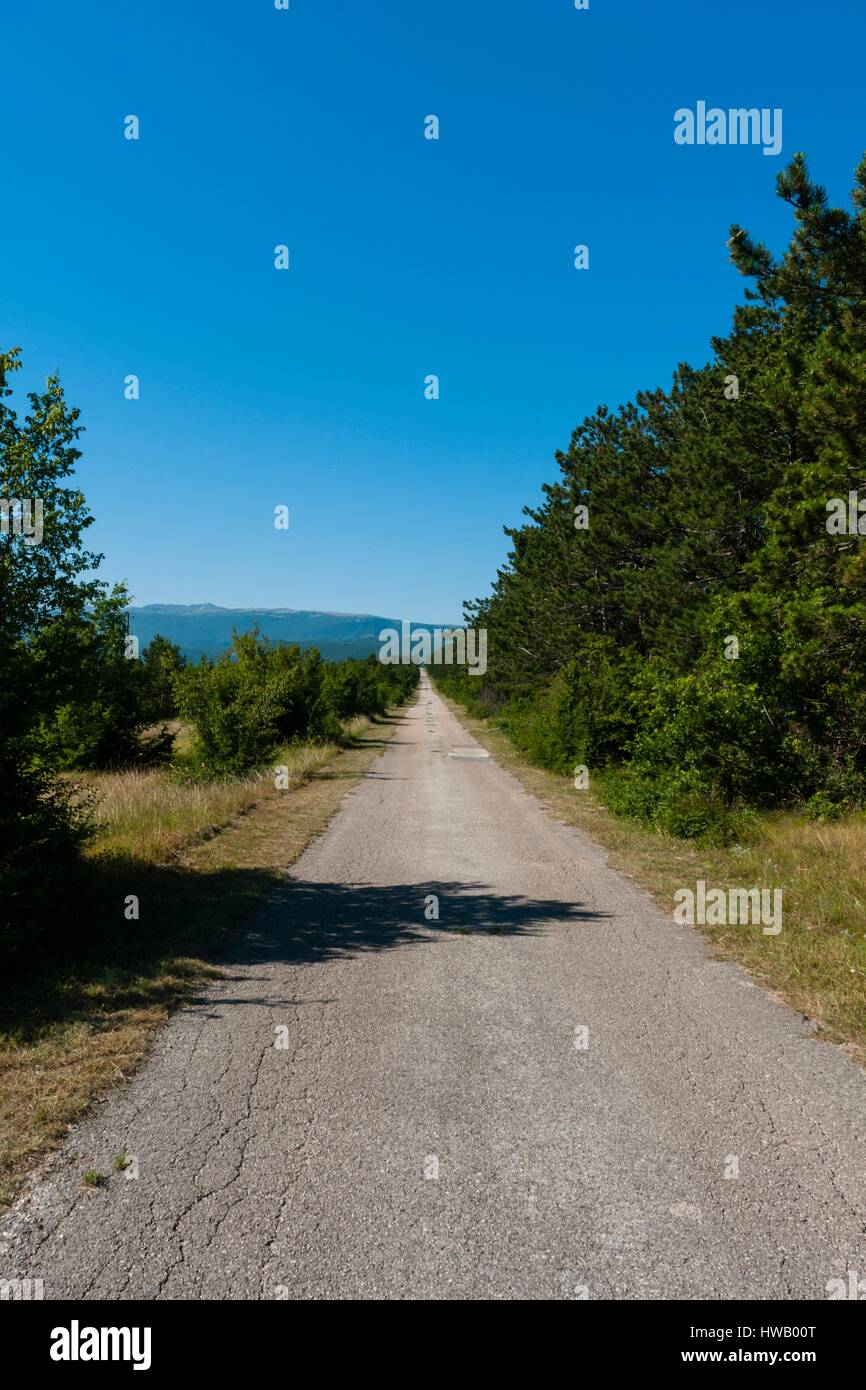 On the road again Stock Photo