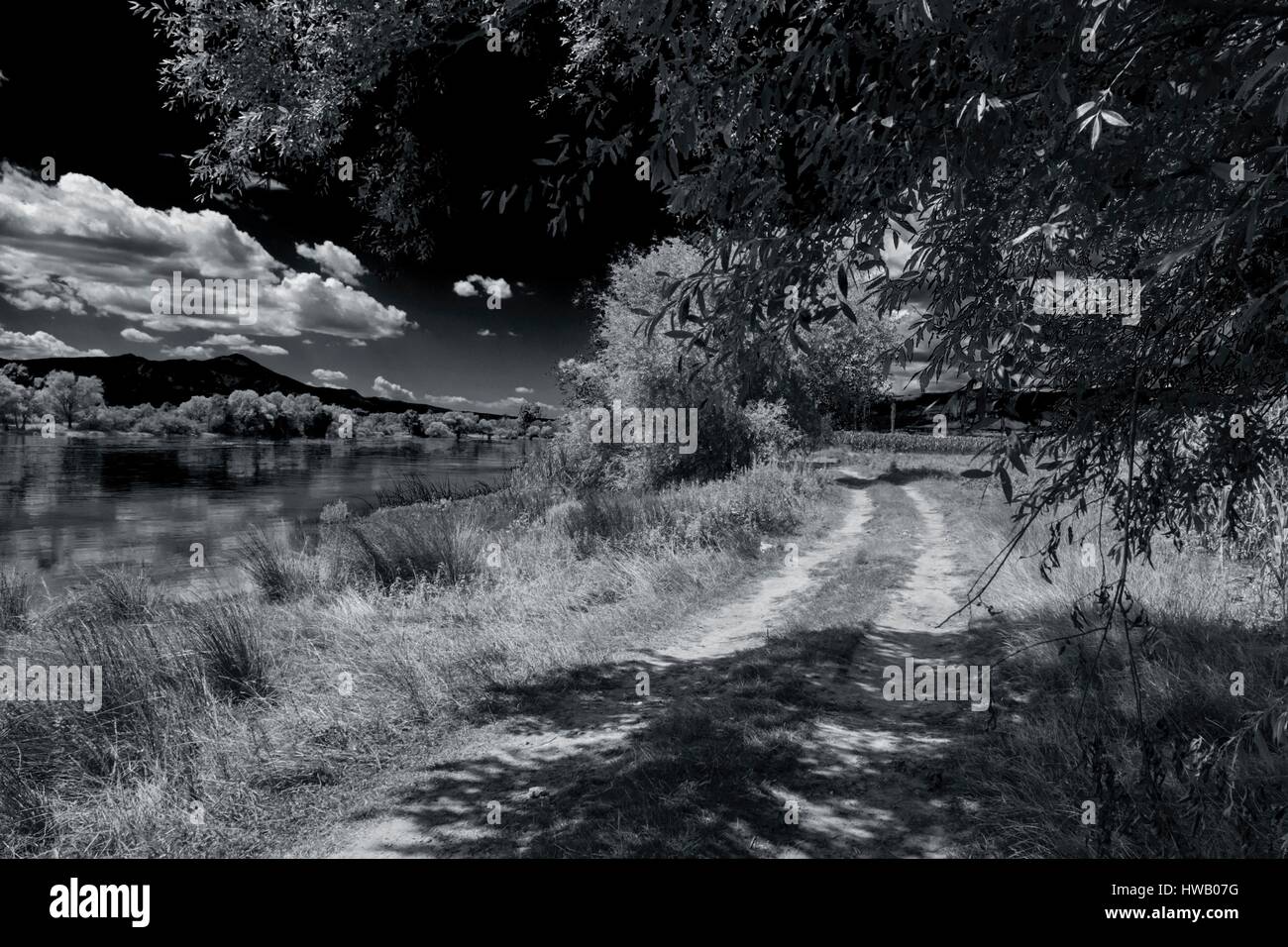 Country-road in b&w Stock Photo