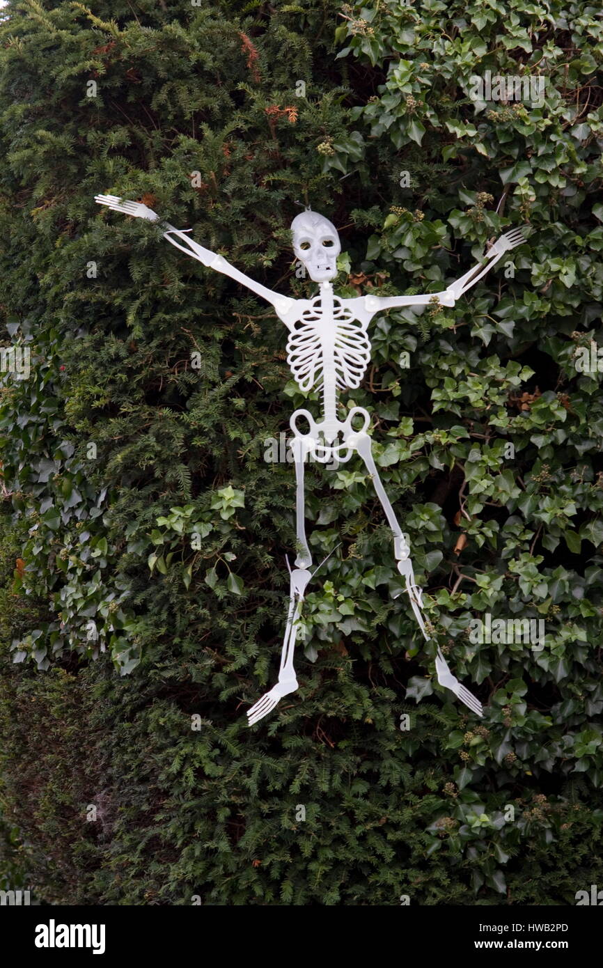 Skeleton on hedge,Oakley,Hampshire Stock Photo