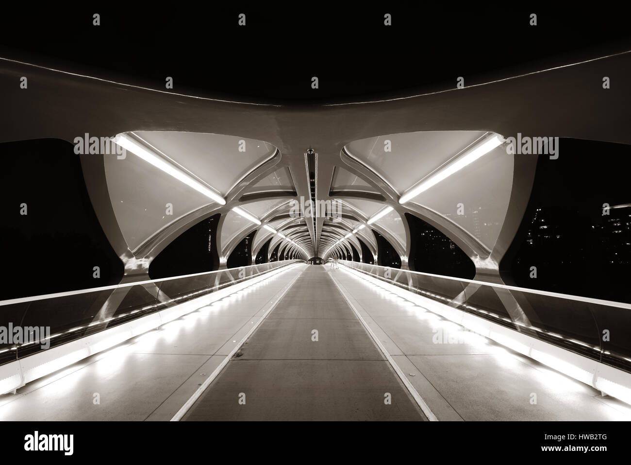 CALGARY, CANADA - AUGUST 27: Peace Bridge at night on August 27, 2015 in Calgary, Canada. Designed by Santiago Calatrava, the pedestrian bridge connec Stock Photo