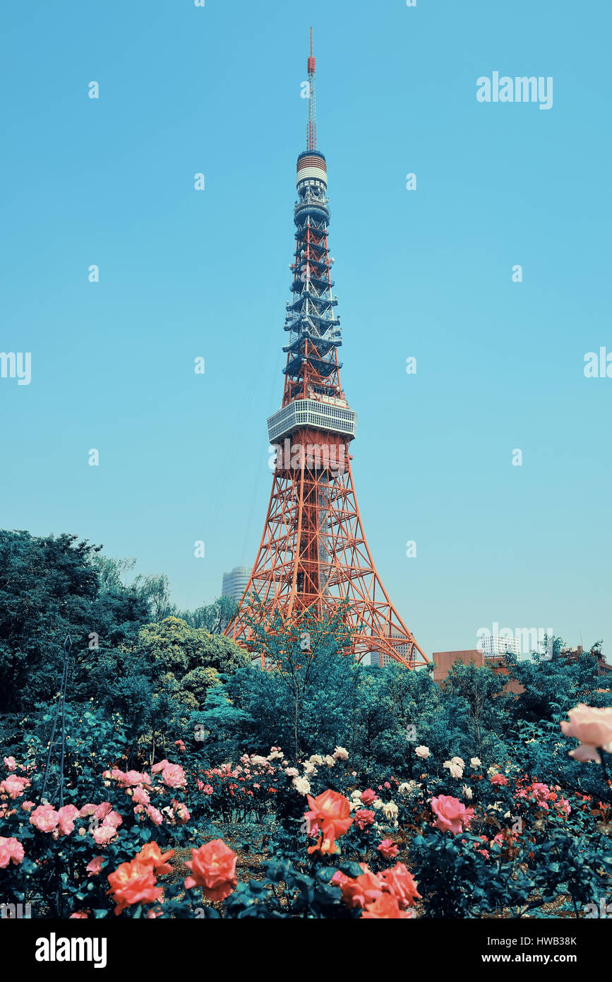 Tokyo Tower as the city landmark with flowers. Japan. Stock Photo