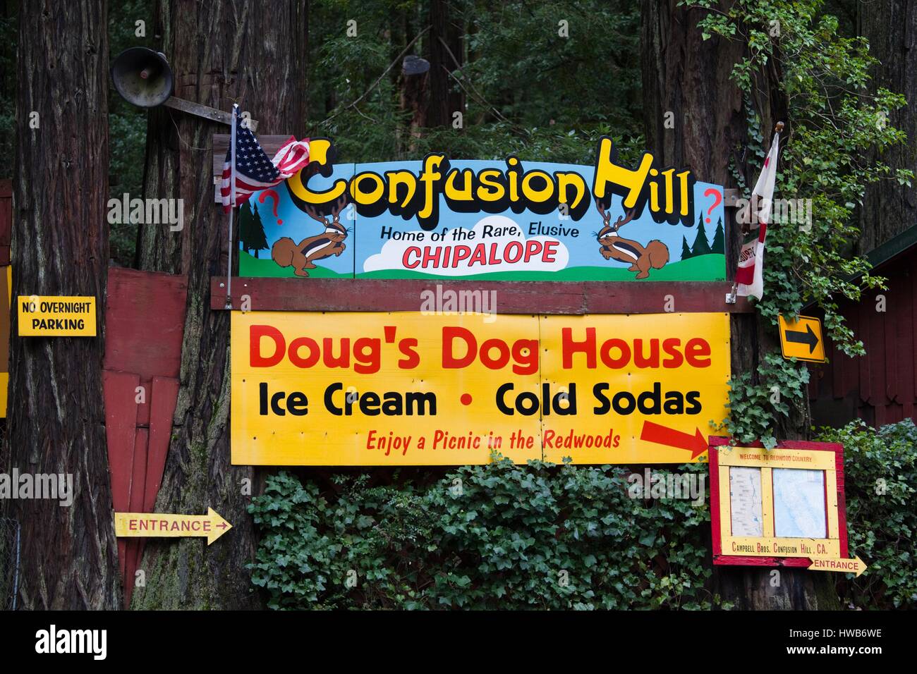 United States, California, Northern California, North Coast, Leggett