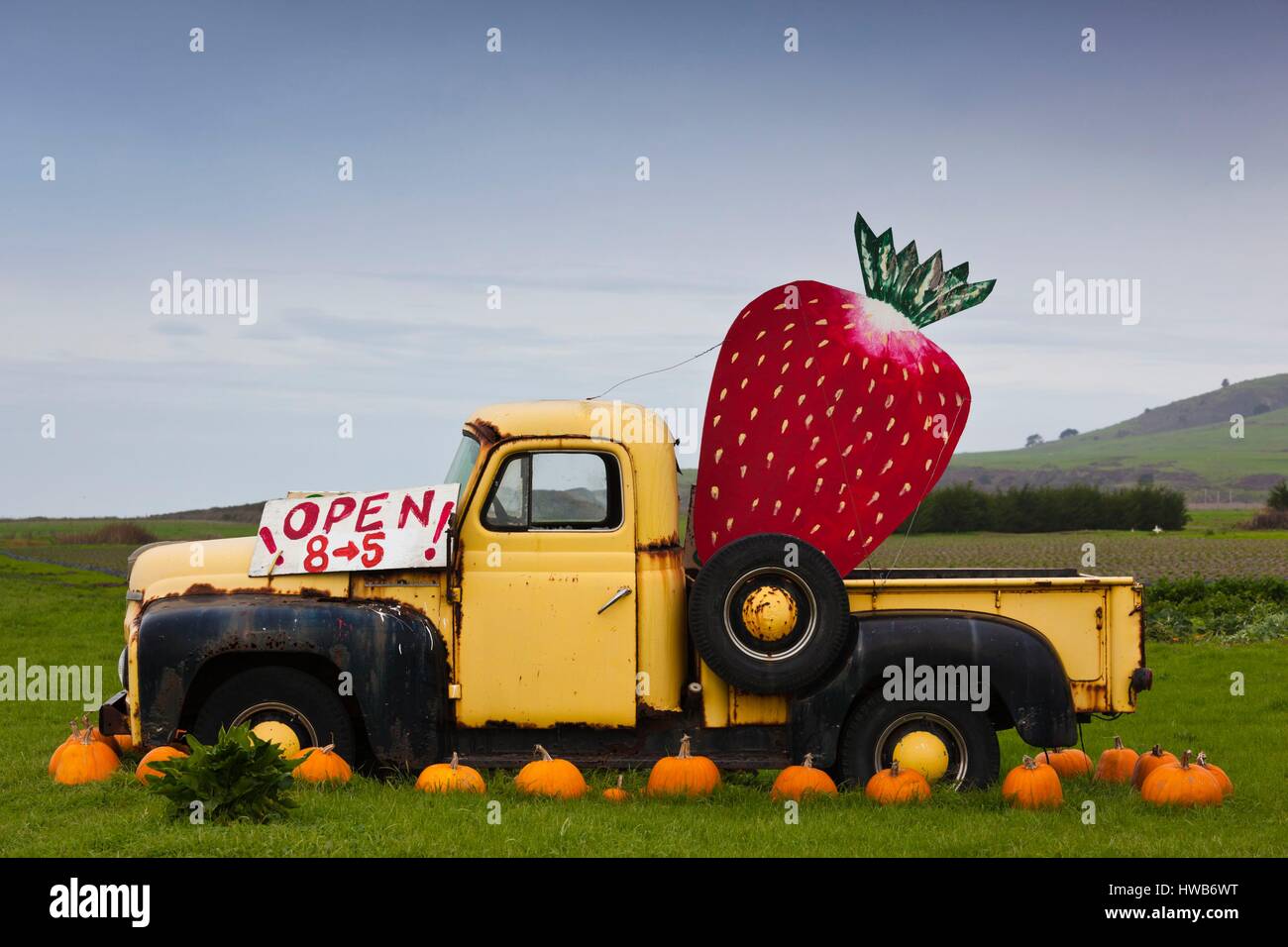 United States, California, Central Coast, Swanton, old pickup truck at