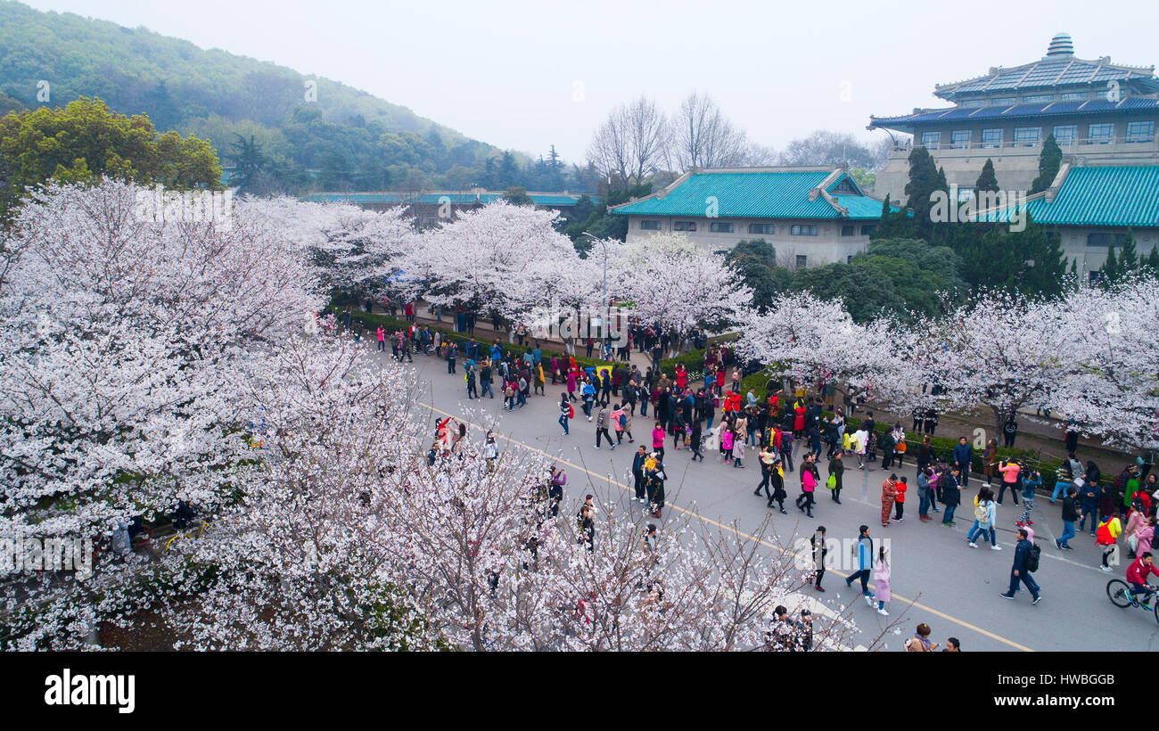 Wuhan 18th Mar 1817 People View Cherry Blossoms At Wuhan University In Wuhan Capital Of Central China S Hubei Province March 18 1817 Credit Xinhua Alamy Live News Stock Photo Alamy
