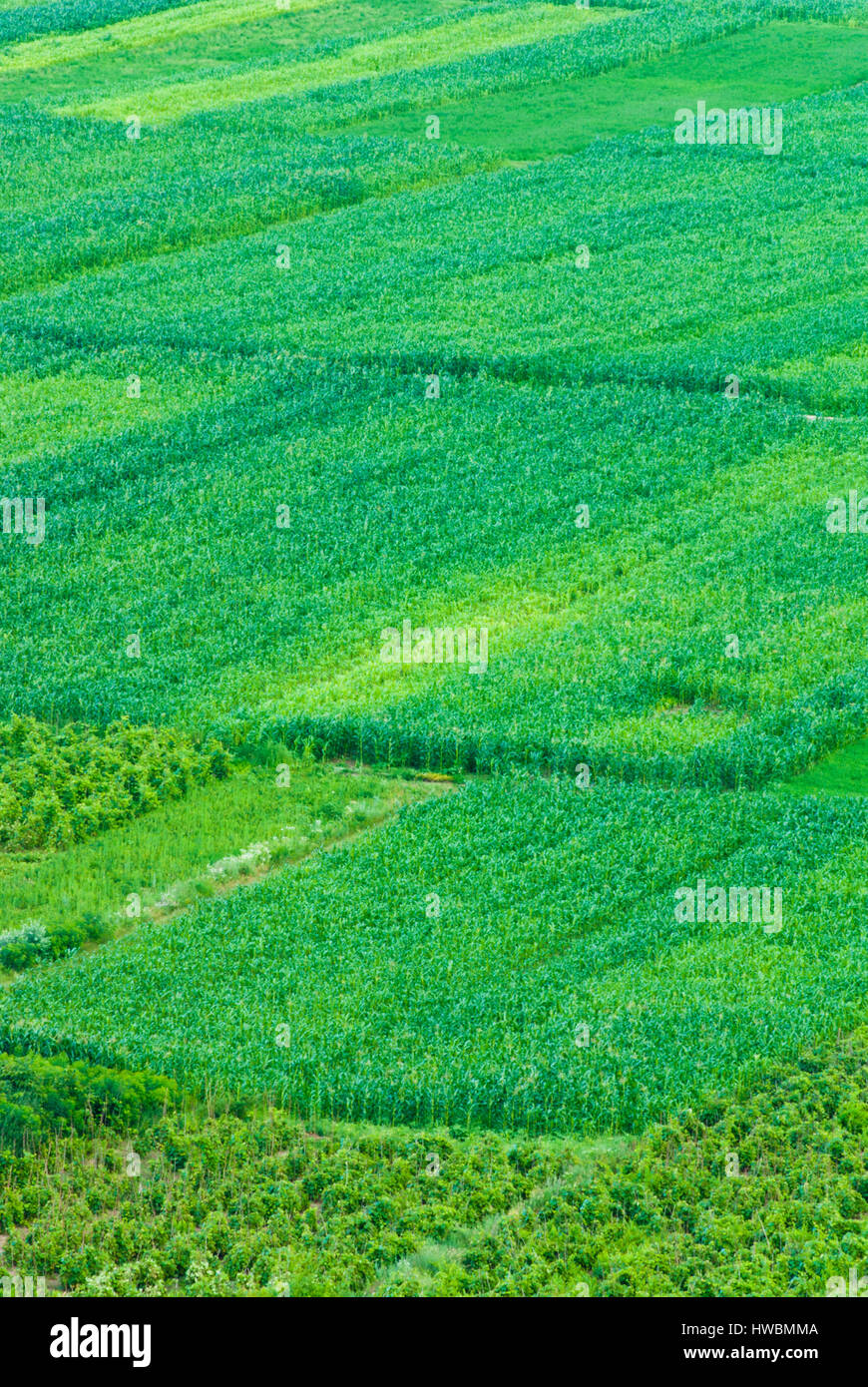 George Rurual Scene Rural agricultural scene hi-res stock photography and images - Alamy