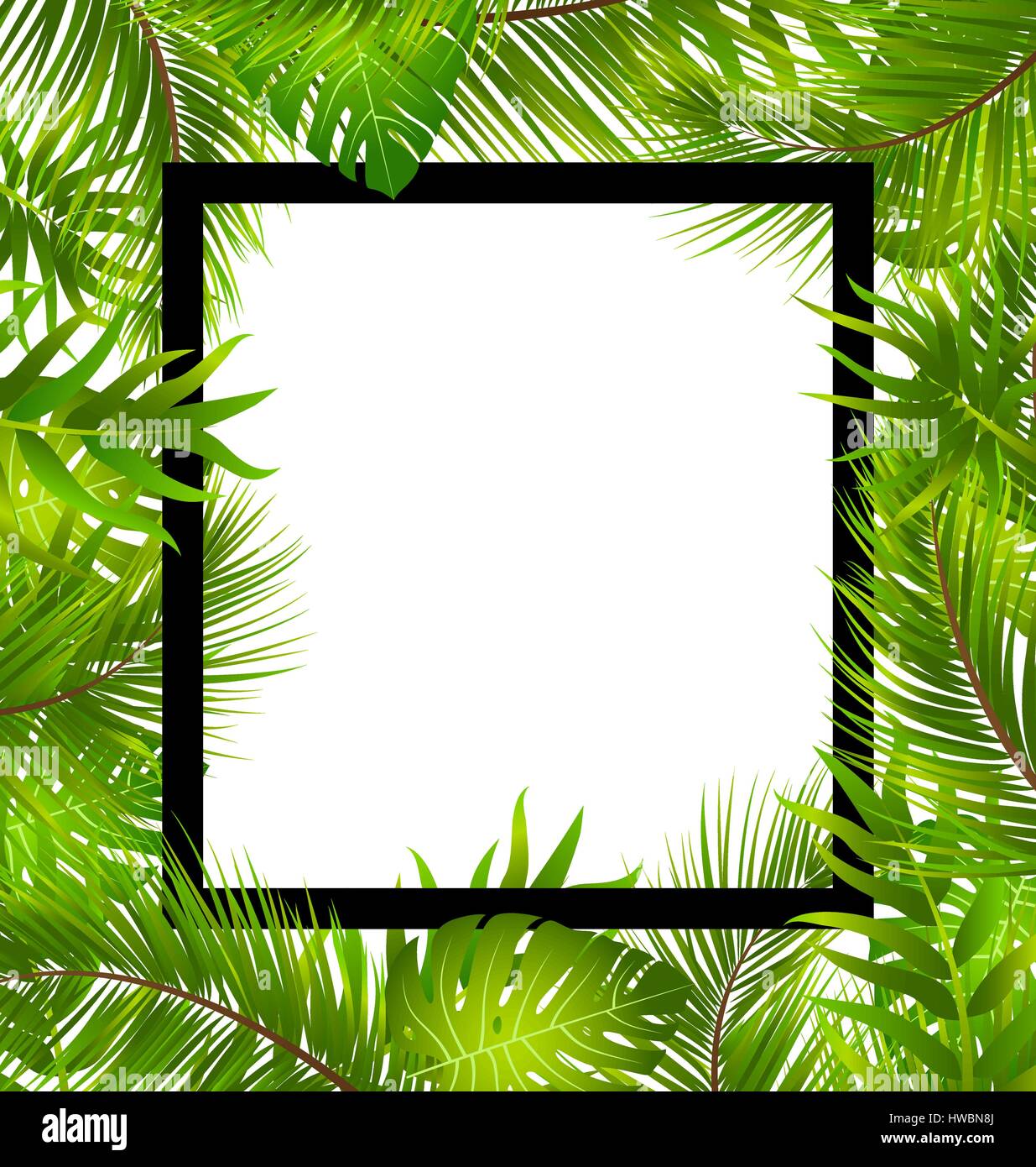 Beautiful Border With Tropical Palm Leaves Stock Vector Image Art Alamy Beautiful Border With Tropical Palm Leaves Stock Vector Image Art Alamy