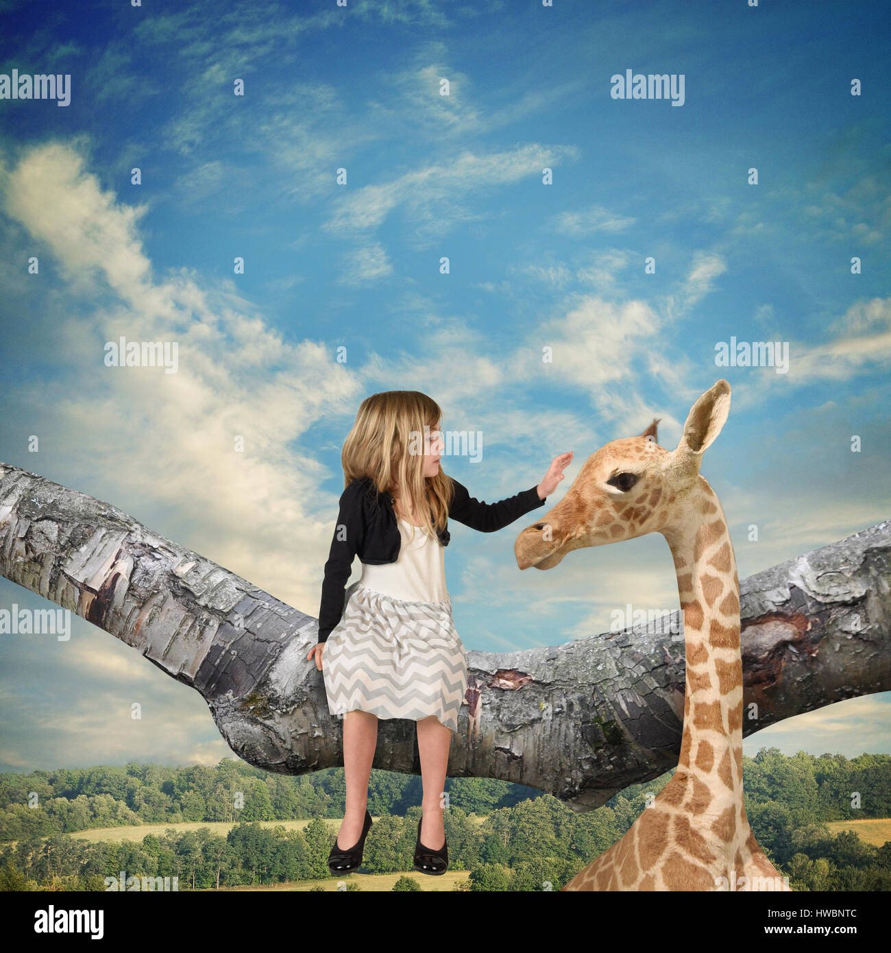 A little child is sitting on a tree branch petting a giraffe up in the sky for an imagination idea about animals in the wild Stock Photo