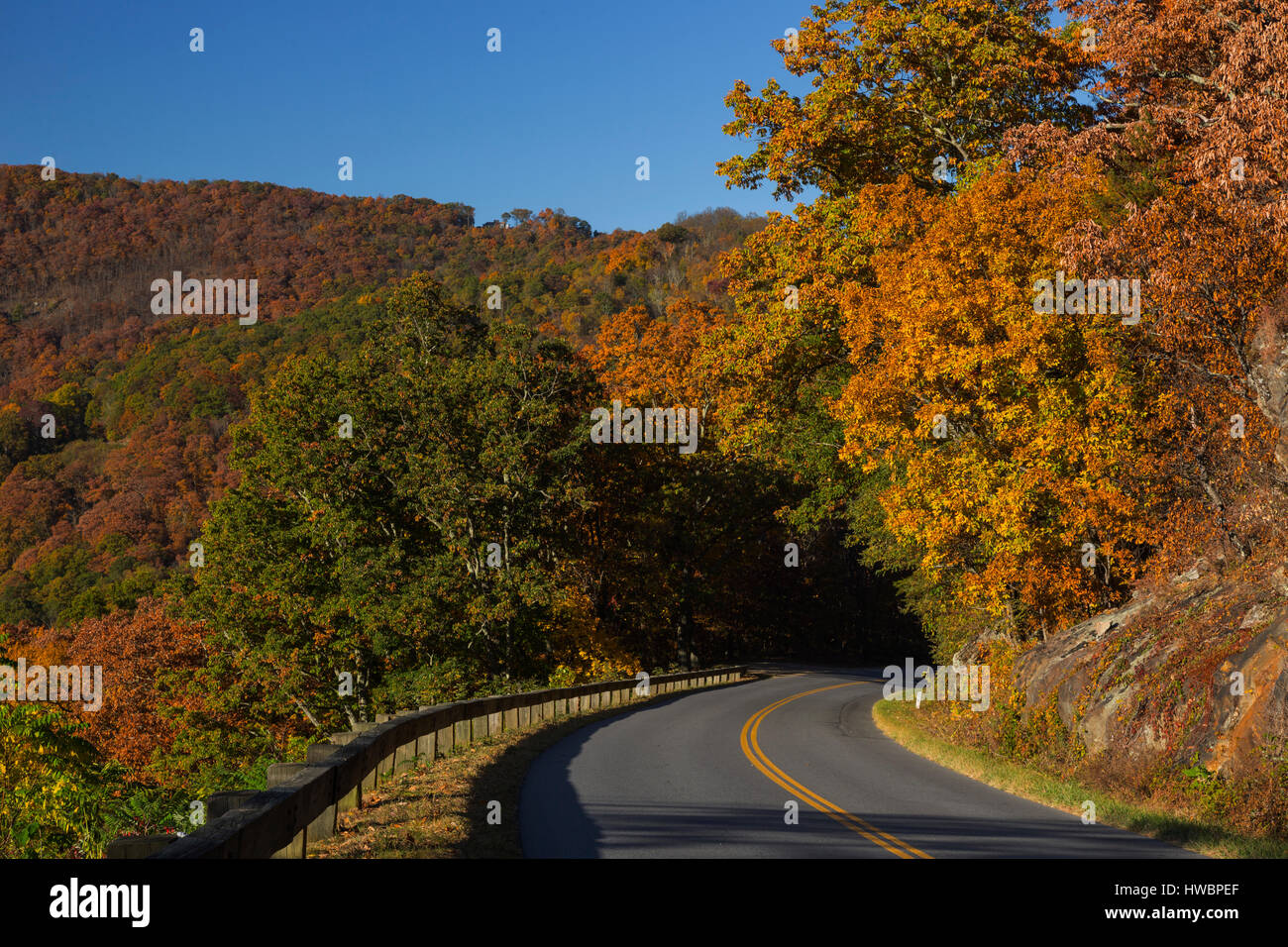 Fall colors along the Blue Ridge Parkway, Blue Ridge Parkway, NC, USA