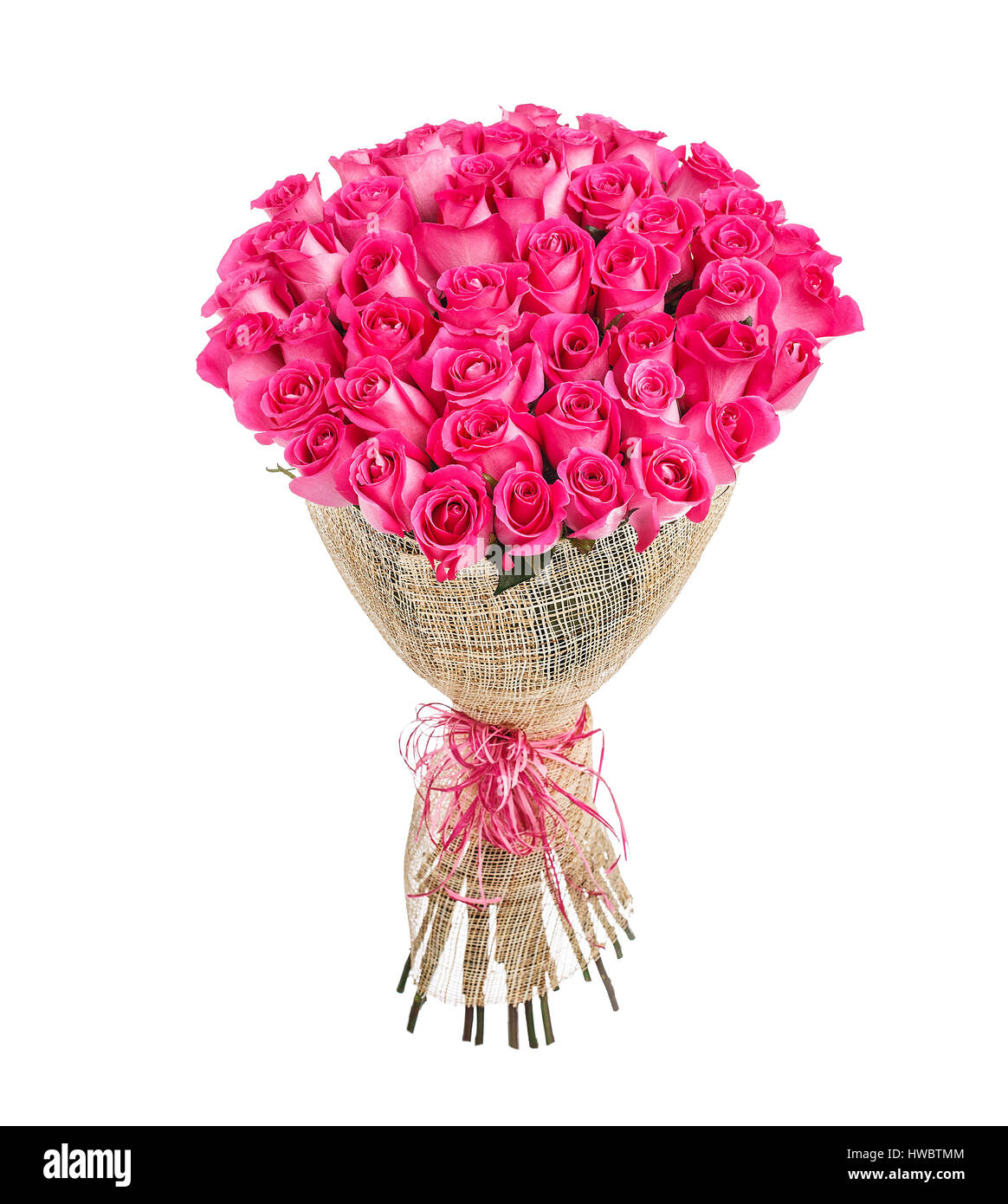50 Roses Pink Flower bouquet of 50 pink roses isolated on white background Stock ...