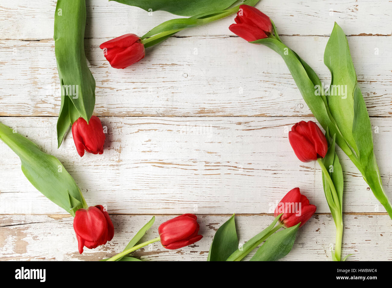 Red tulip flowers on wooden table. Top view with copy space Stock Photo