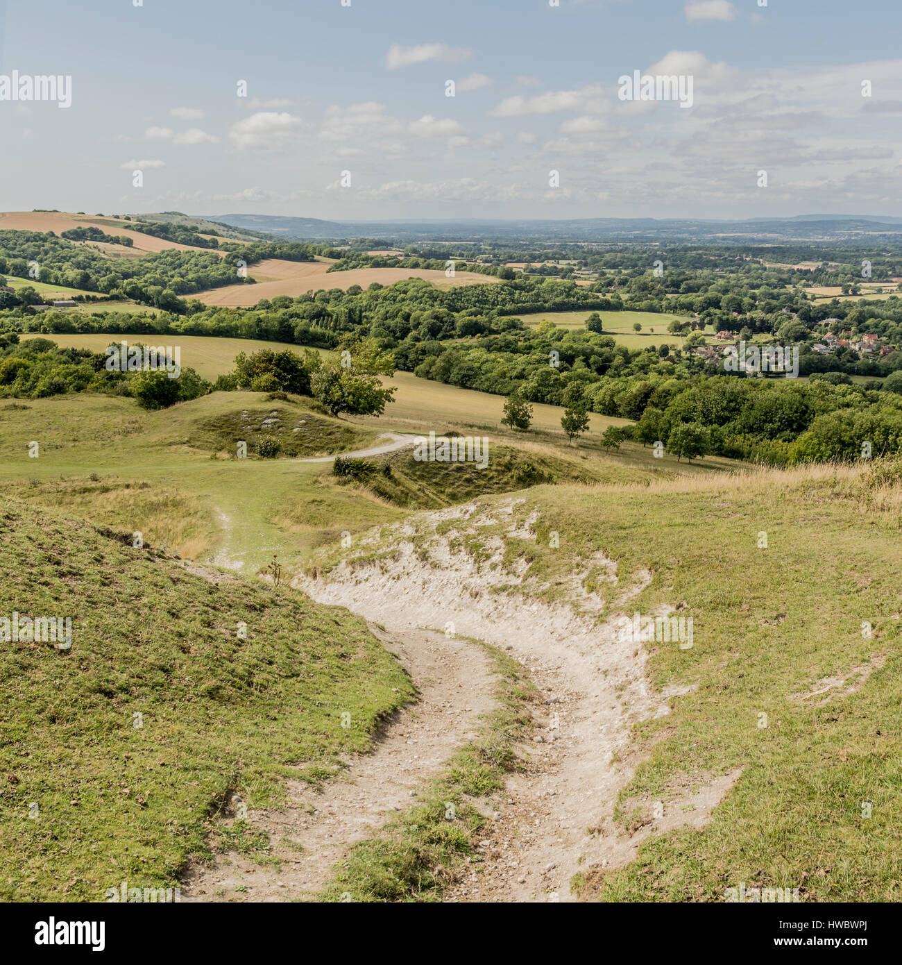 One of many chalk  footpaths leading down from Chanctonbury Ring in the South Downs National Park, West Sussex, England, UK. Stock Photo