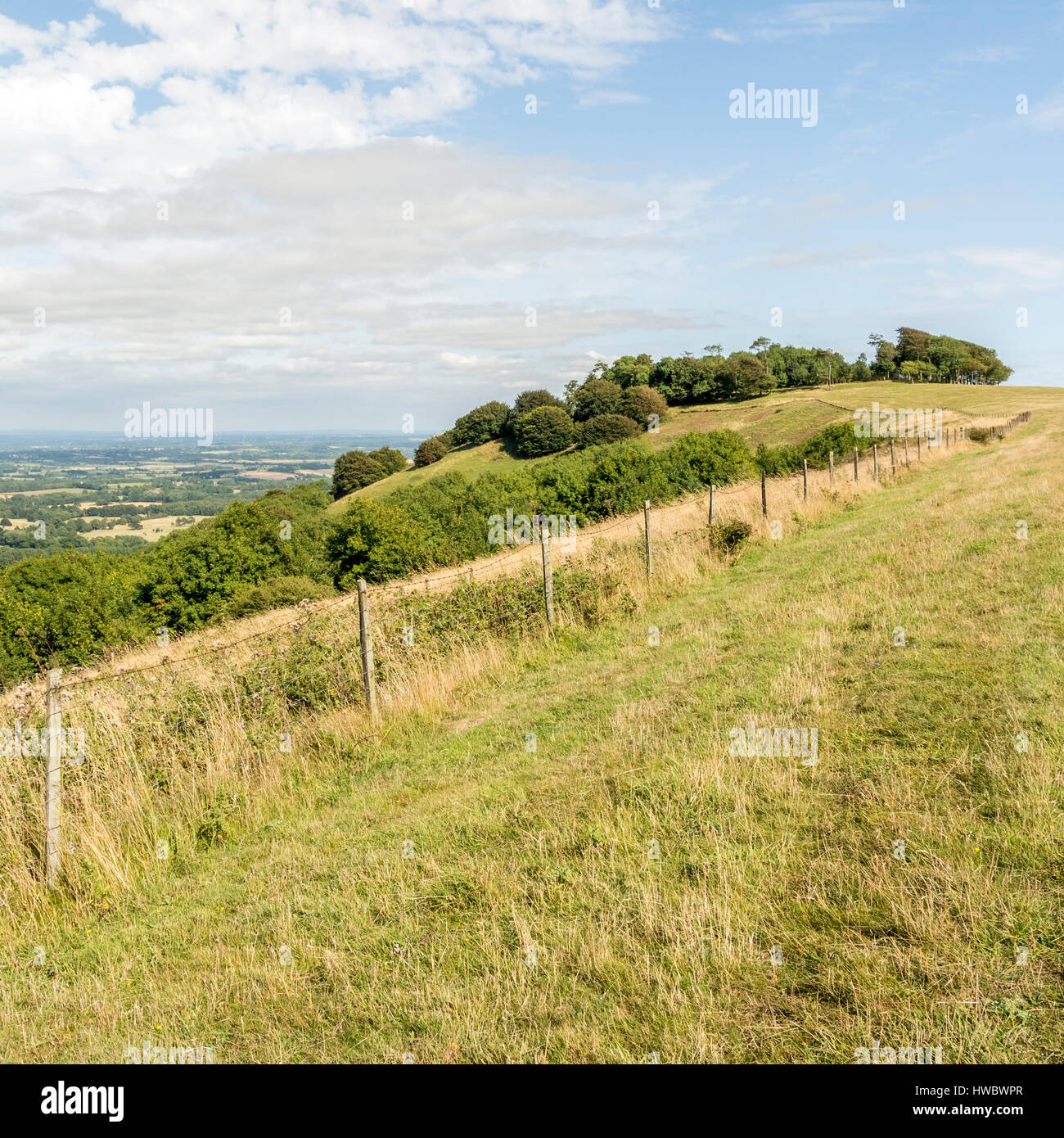 Chanctonbry Ring (the crown of trees) - South Downs National Park, West Sussex, southern England, UK. Stock Photo