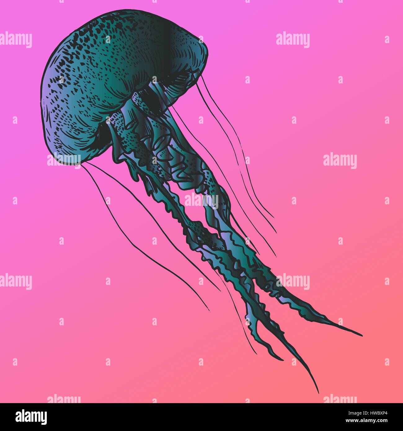 vector-illustration-jellyfish-painted-by-hand-stock-vector-image-art
