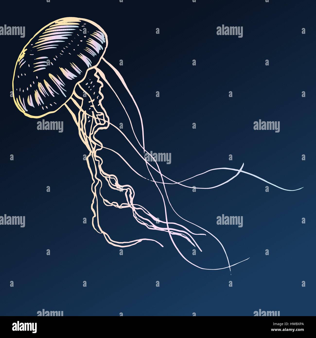 vector-illustration-jellyfish-painted-by-hand-stock-vector-image-art
