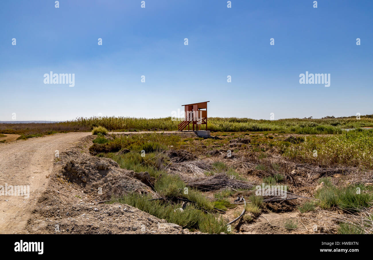 New hide for birds built at the beginning of Lady's Mile, Limassol.  A deserted and wild place of natural beauty. Stock Photo