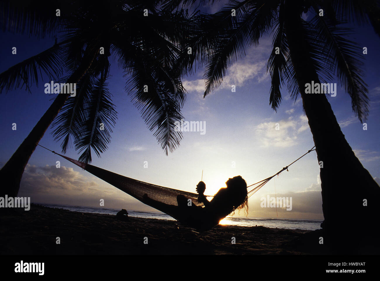 Tourist enjoying a coconut in a hammock at sunrise, Tiwi beach, Kenya