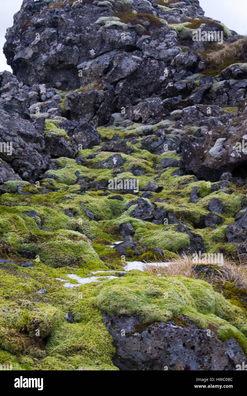 Winter in Iceland Stock Photo