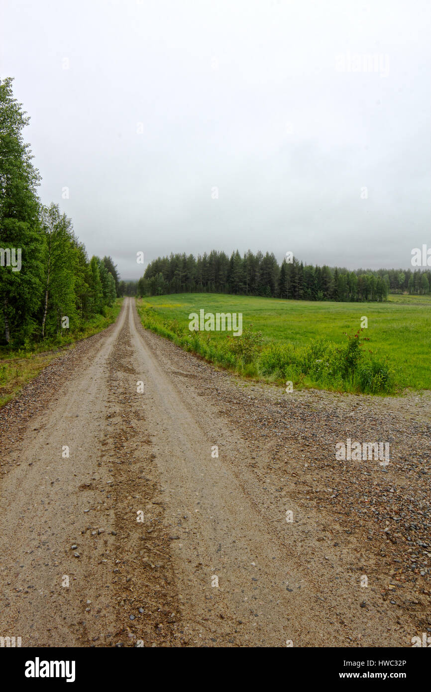 Summer landscape with green field, forest and rural road Stock Photo ...