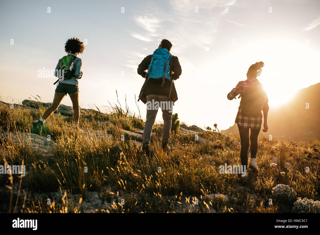 Three young friends on a country walk. Group of people hiking through countryside on summer day. Stock Photo