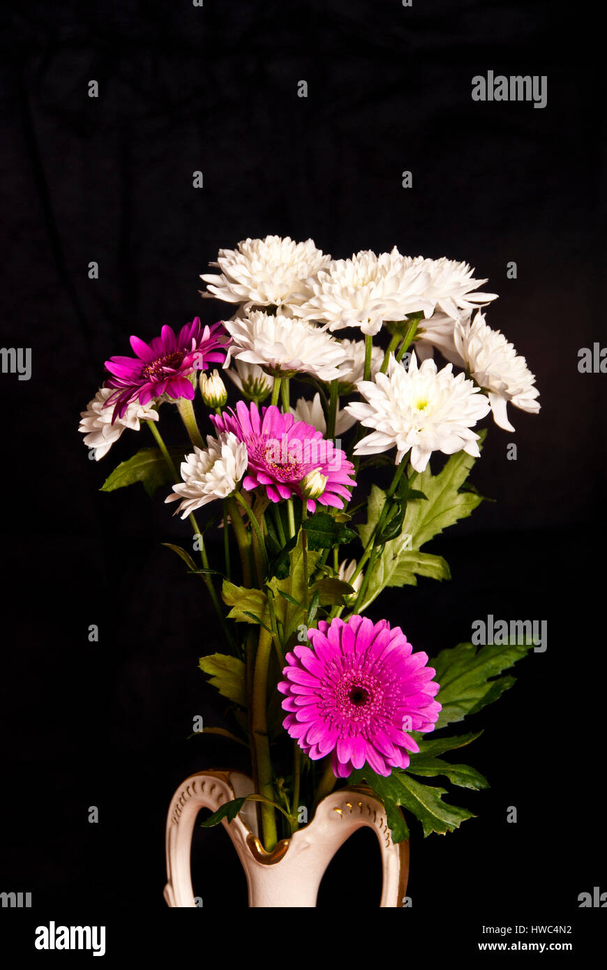 Chrysanthemum vase hires stock photography and images Alamy