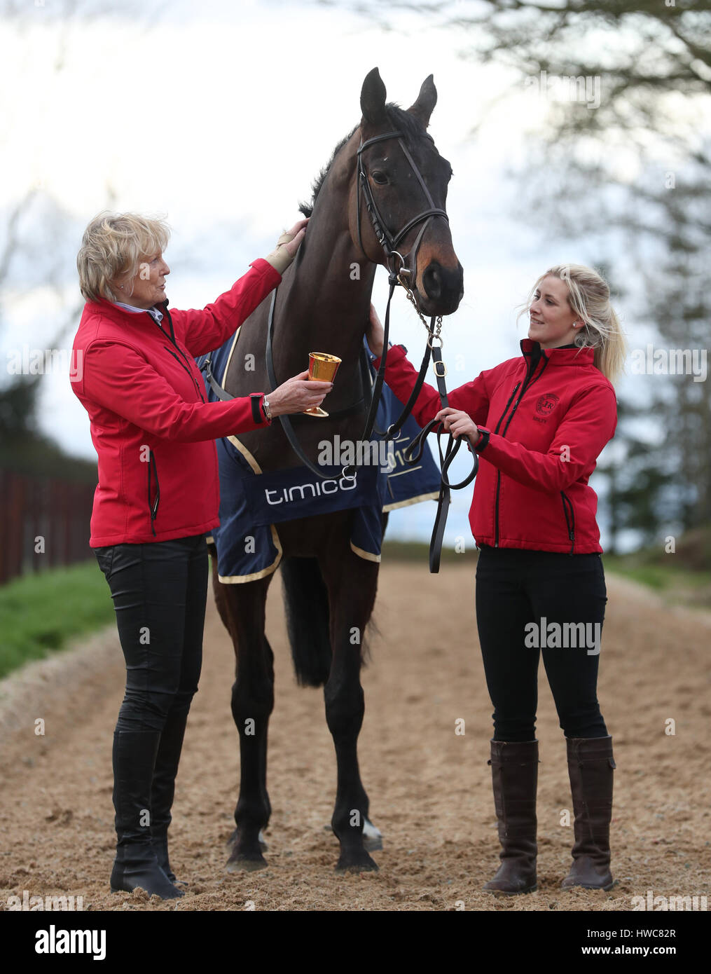 Cheltenham Gold Cup winner Sizing john with trainer Jessica Harrington  (left) and groom Ashley Hussey during a parade through Moone Village,  County Kildare Stock Photo - Alamy
