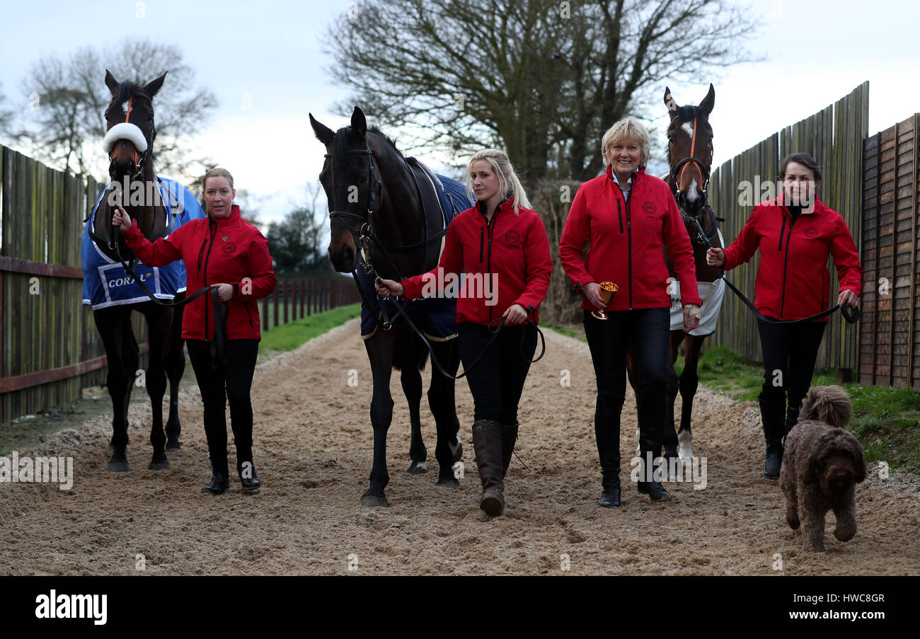 Trainer Jessica Harrington (second right) with horses: Super Sunday Stock  Photo - Alamy