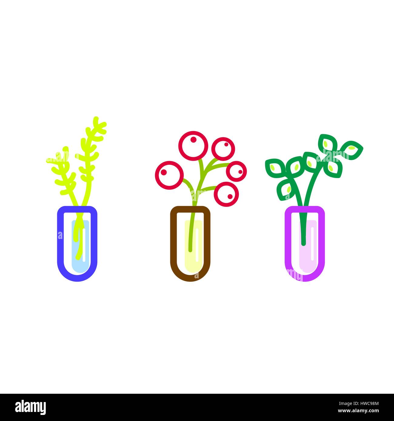 Flowers in glass flasks vector icons. Berries floral line colored vector illustration. Stock Vector