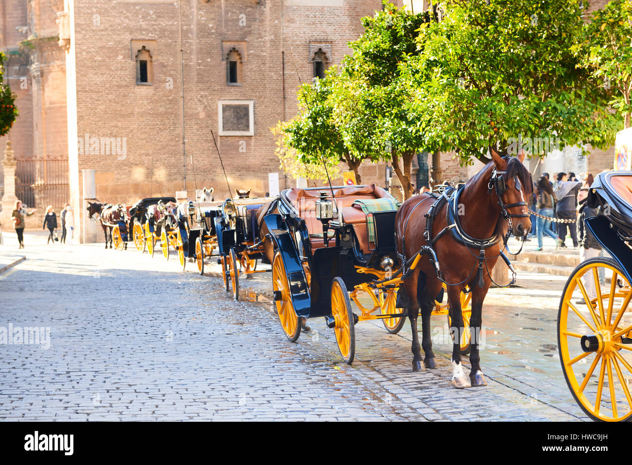 Horse and Carriage in Sevilla, Andalusia, Spain, Europe Stock Photo