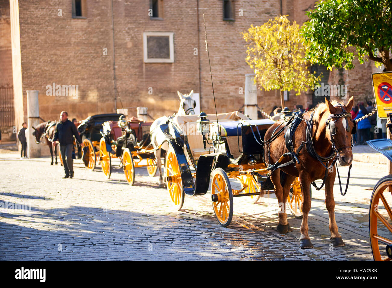 Horse and Carriage in Sevilla, Andalusia, Spain, Europe Stock Photo