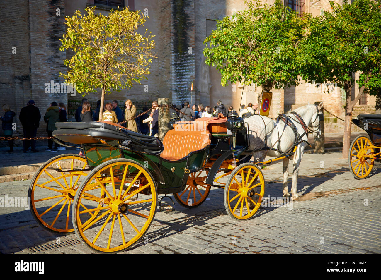 Horse and Carriage in Sevilla, Andalusia, Spain, Europe Stock Photo