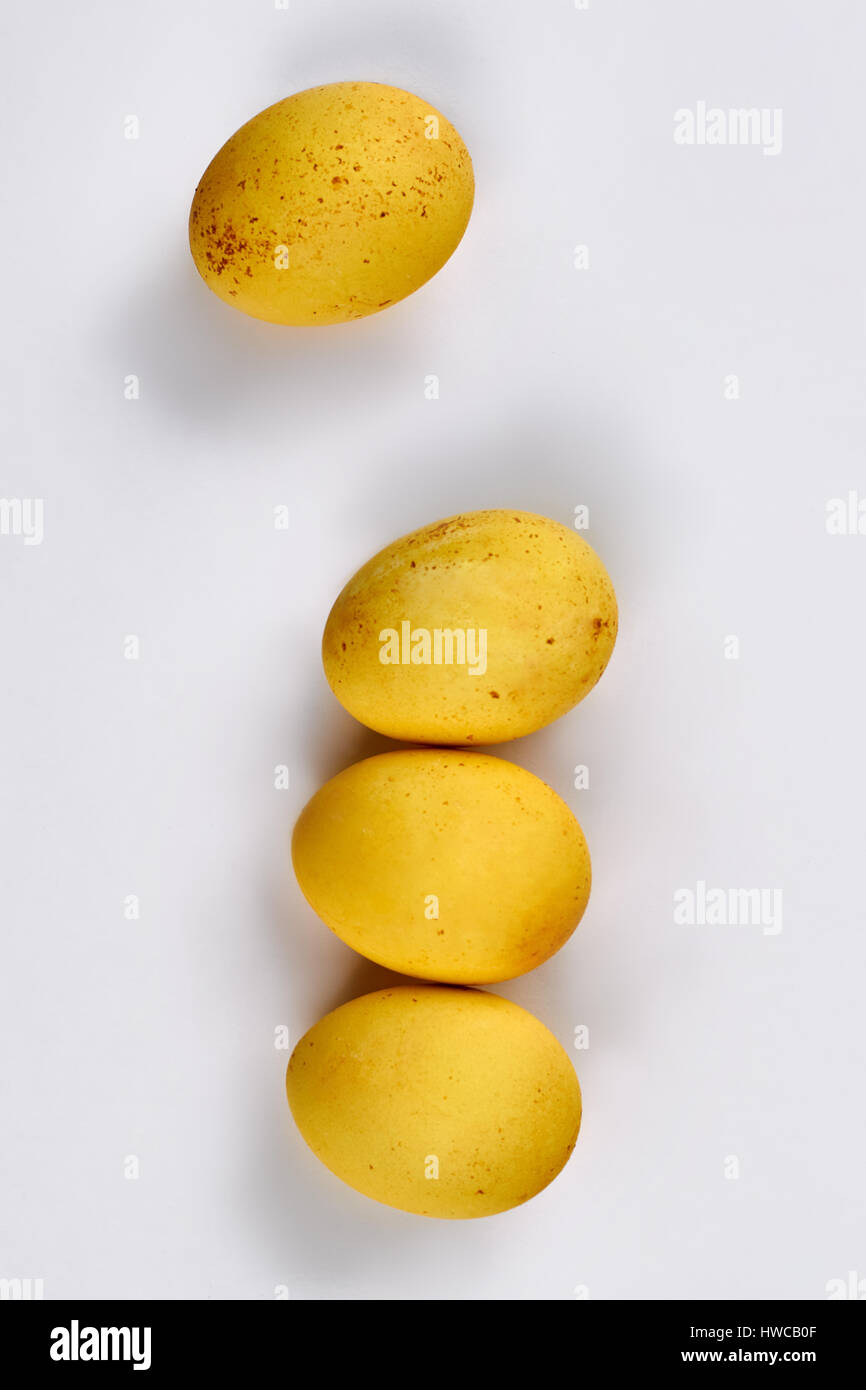 Dyed chicken eggs isolated Stock Photo Alamy
