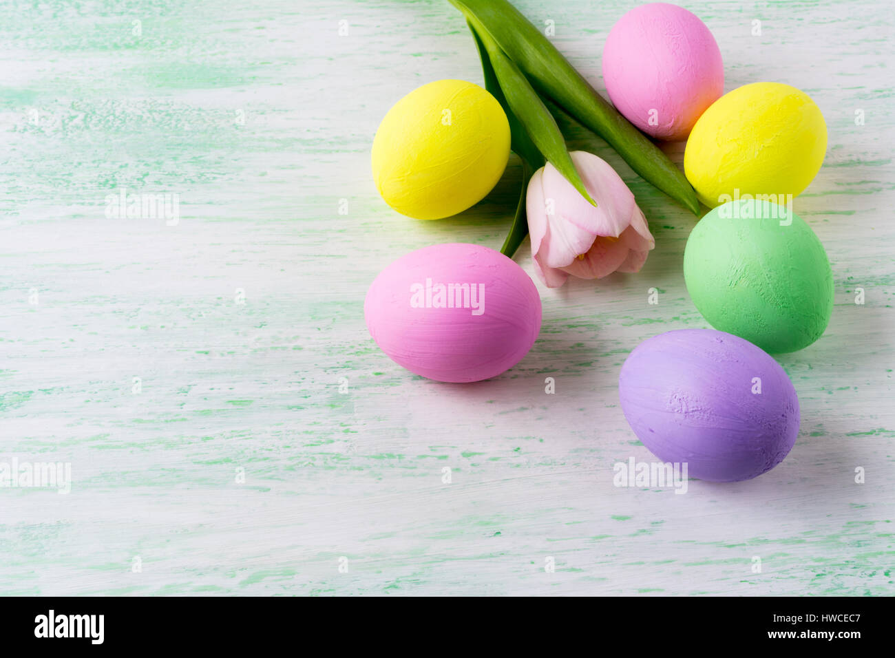 Easter background with pastel color hand painted eggs and pink tulip ...