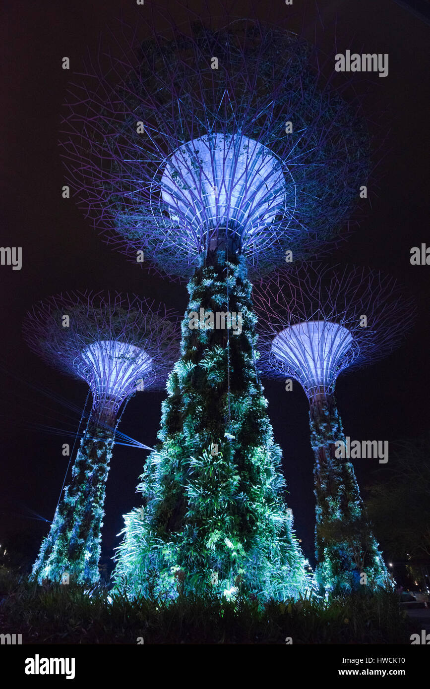 Vertical view of the OCBC Garden Rhapsody light show at the Supertrees in Singapore. Stock Photo