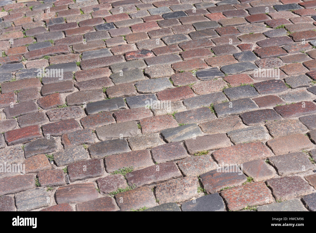 Old cobblestone road pavement texture with grass between stones Stock ...