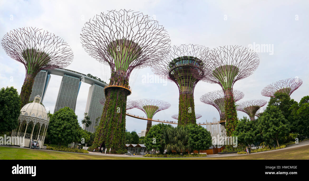 Horizontal panoramic (2 picture stitch) view of the OCBC skyway at the Supertrees at the Gardens by th Stock Photo