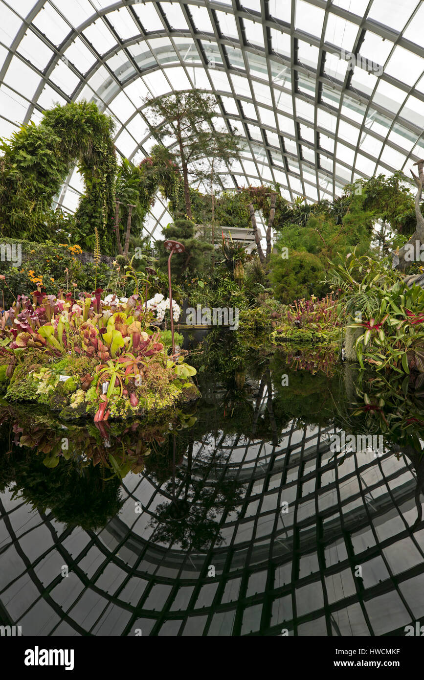 Vertical view inside Cloud Mountain at Gardens by the Bay in Singapore. Stock Photo