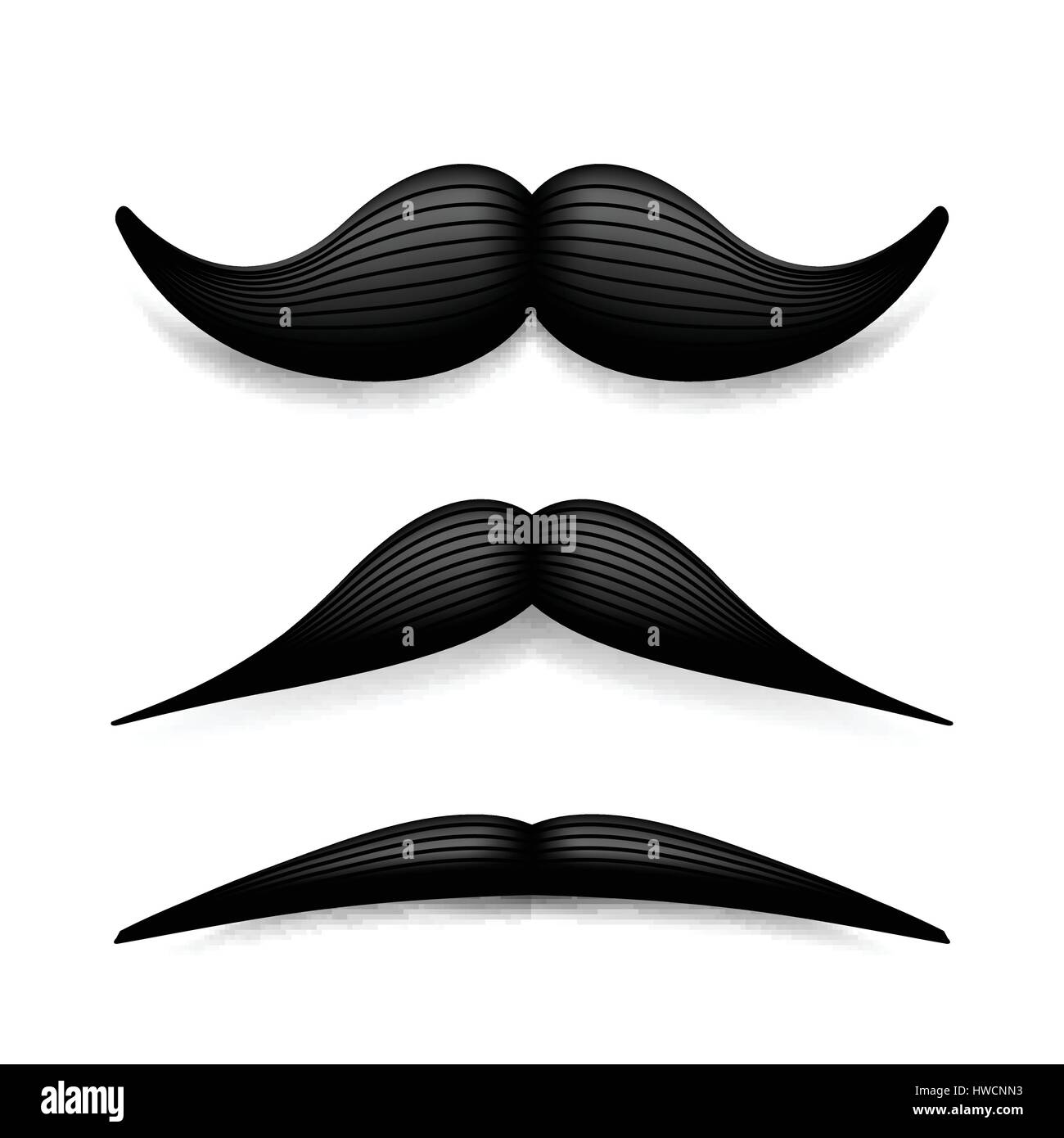 Mustache isolated on white. Black vector vintage moustache. Facial hair ...