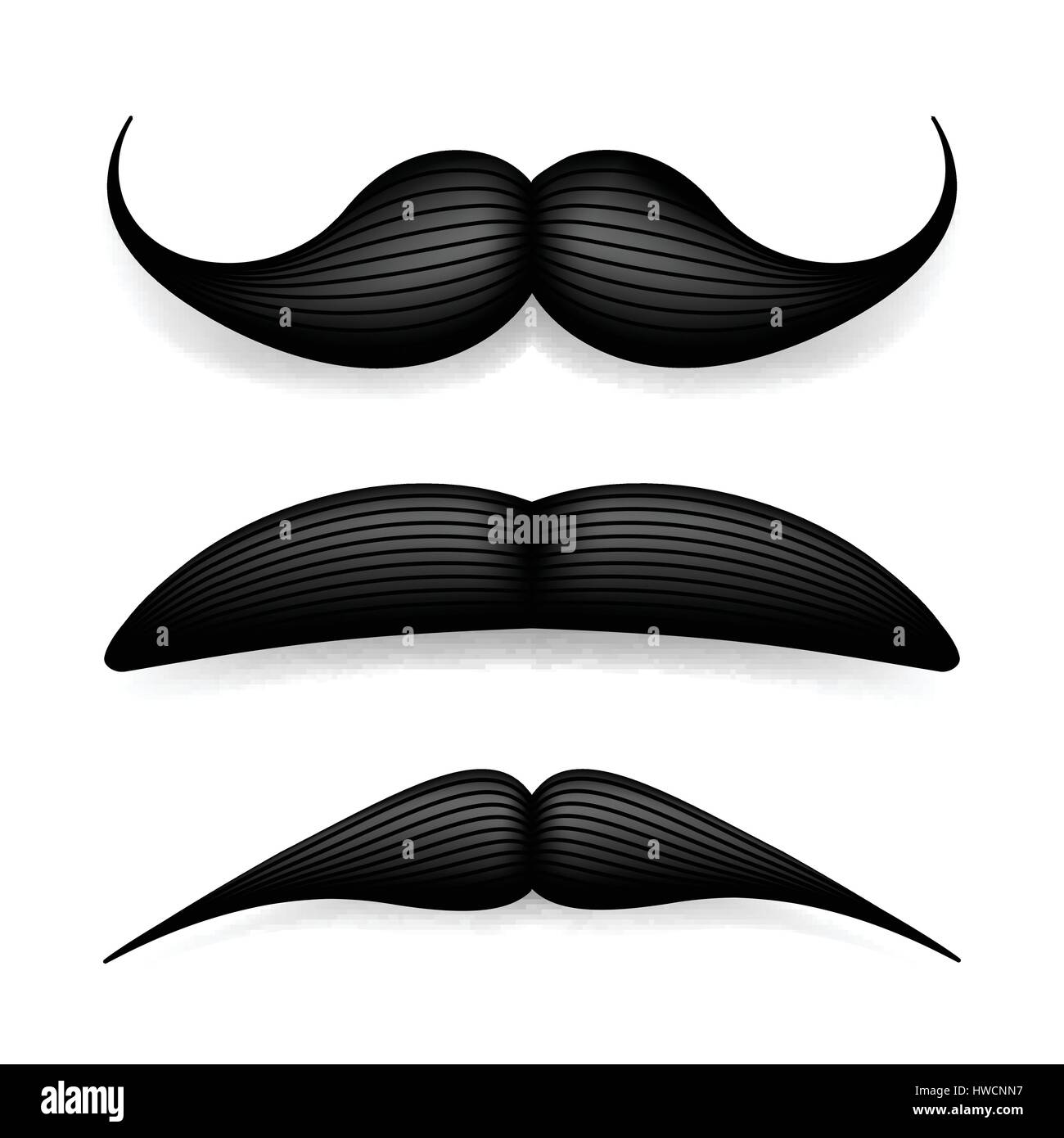 Mustache isolated on white. Black vector vintage moustache. Facial hair