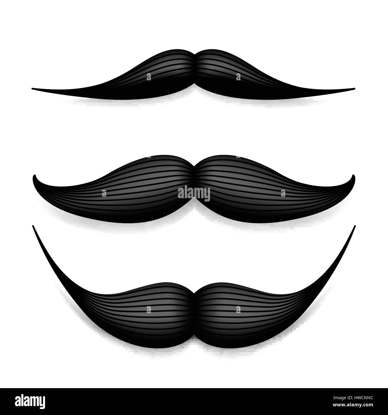 Mustache isolated on white. Black vector vintage moustache. Facial hair ...