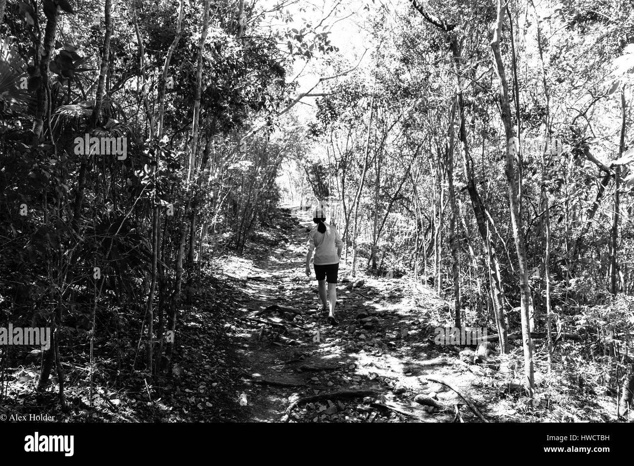 Hiking on St. John's, USVI Stock Photo - Alamy