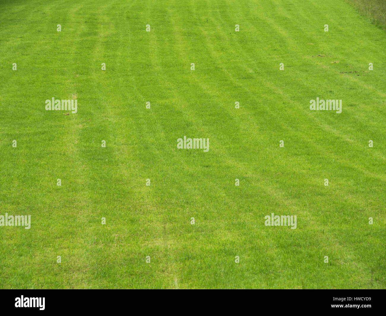 A green meadow with lay a track as a background, Eine grüne Wiese mit spuren als Hintergrund Stock Photo