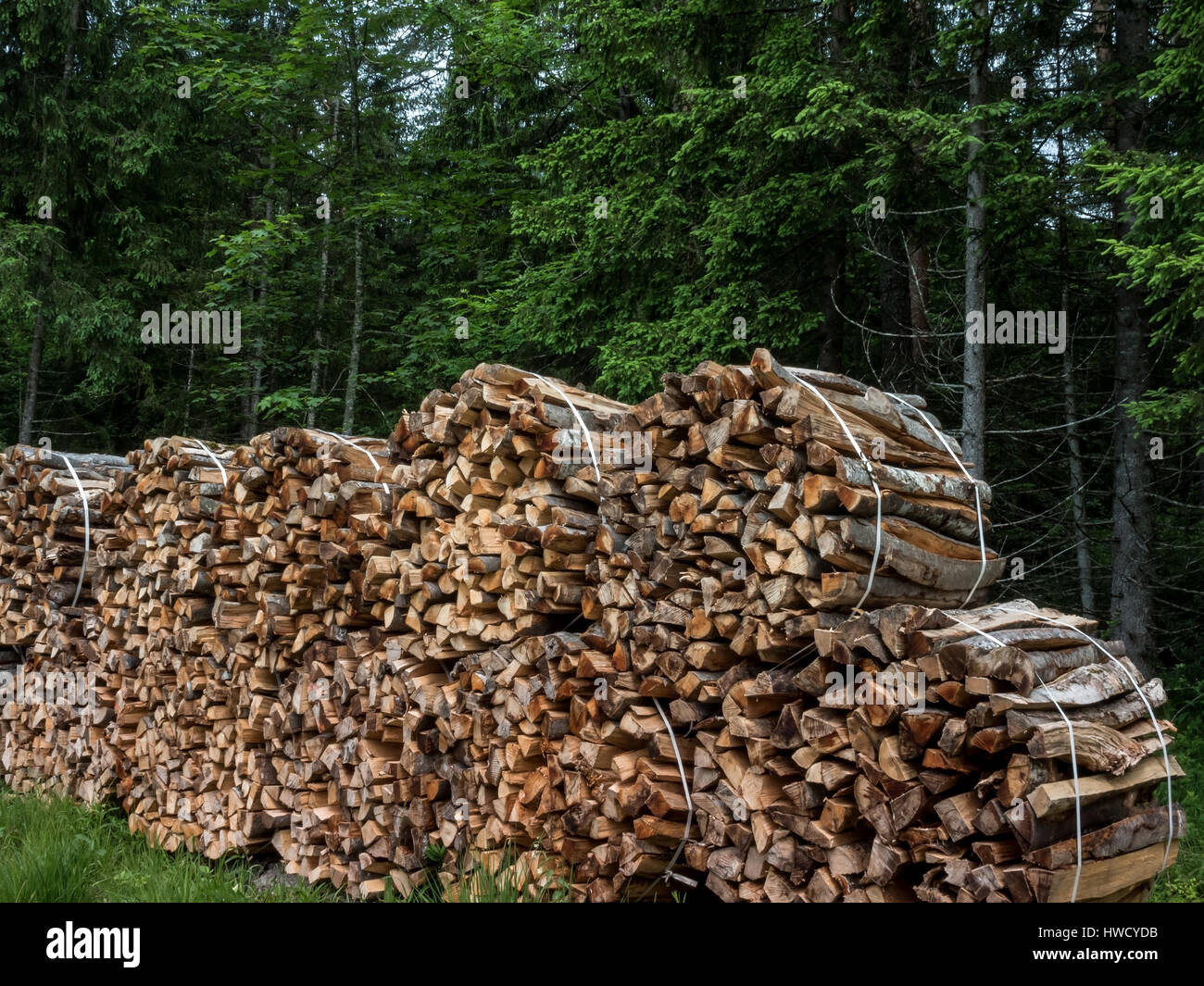 Stacked up wood as a firewood for the winter, Aufgestapeltes Holz als Brennholz für den Winter Stock Photo