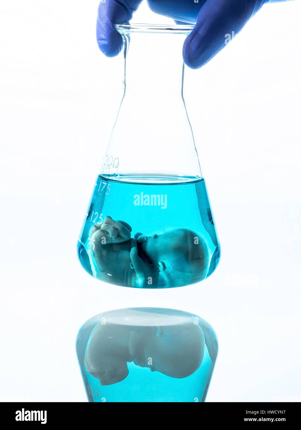 Model of an embryo in a lab glass. Symbolic photo for pregnancy by