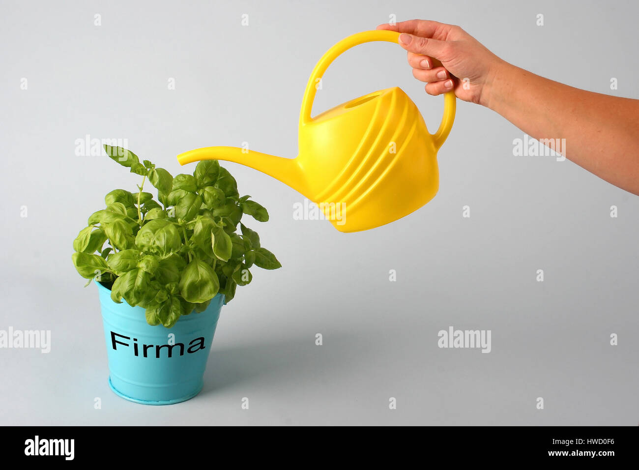 yellow watering can, container, container, things, vessel, vessels