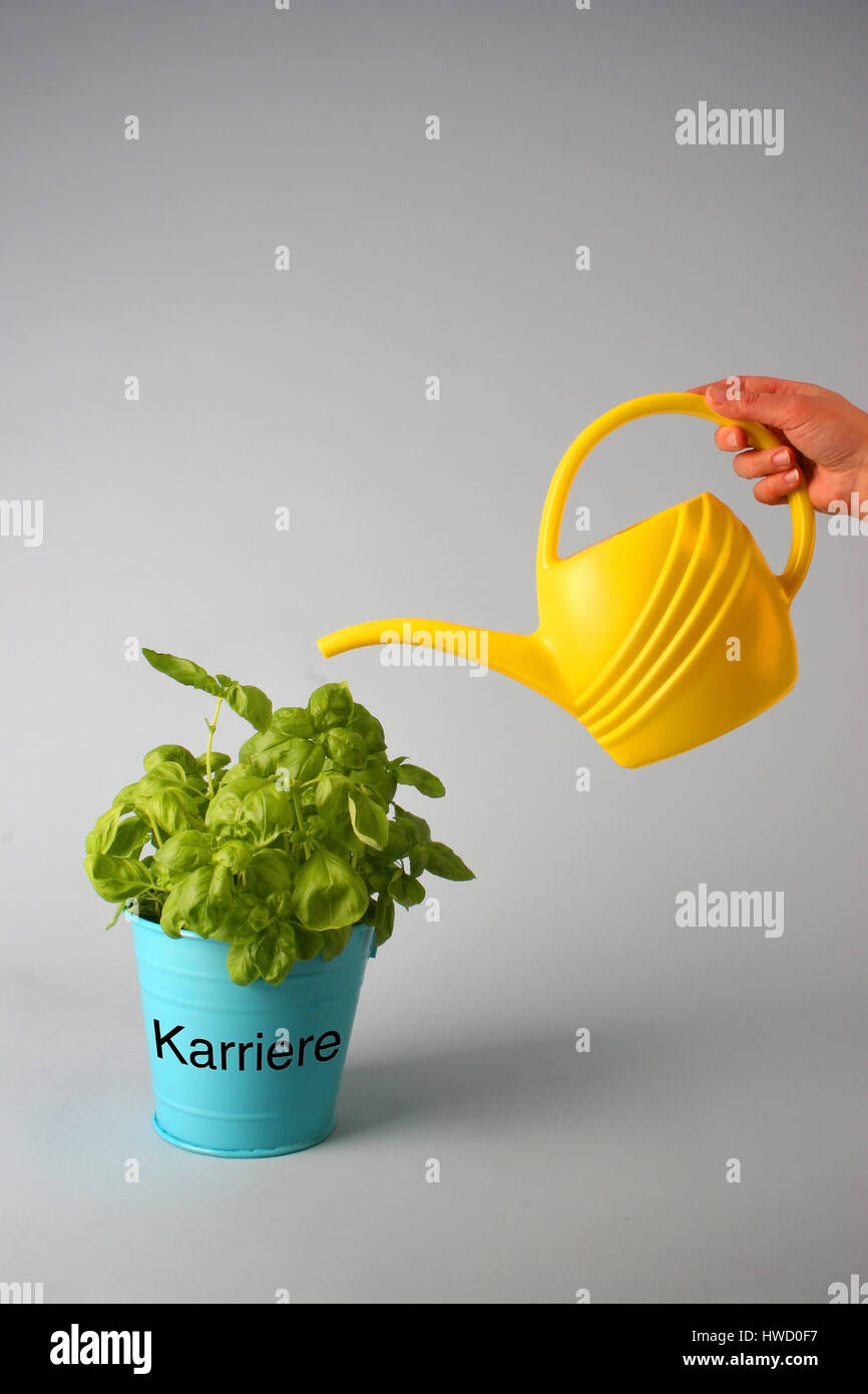 yellow watering can, container, container, things, vessel, vessels