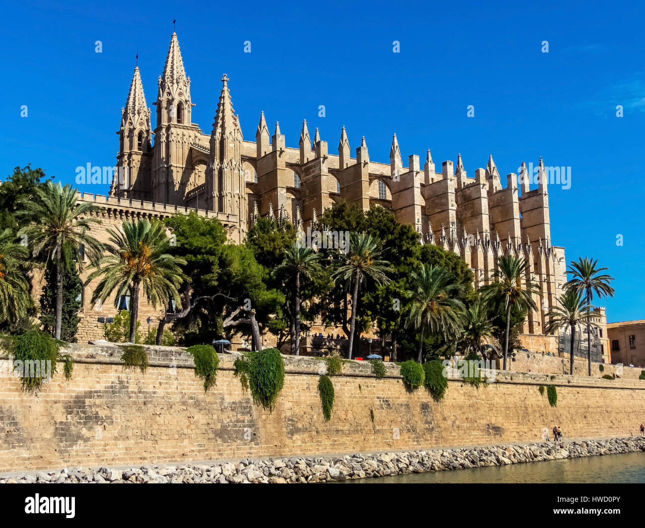 'Spain, Majorca, Palma. The cathedral ''La Seu'' as Touristenatrraktion in the city centre.', Spanien, Mallorca, Palma. Die Kathedrale 'La Seu' als To Stock Photo