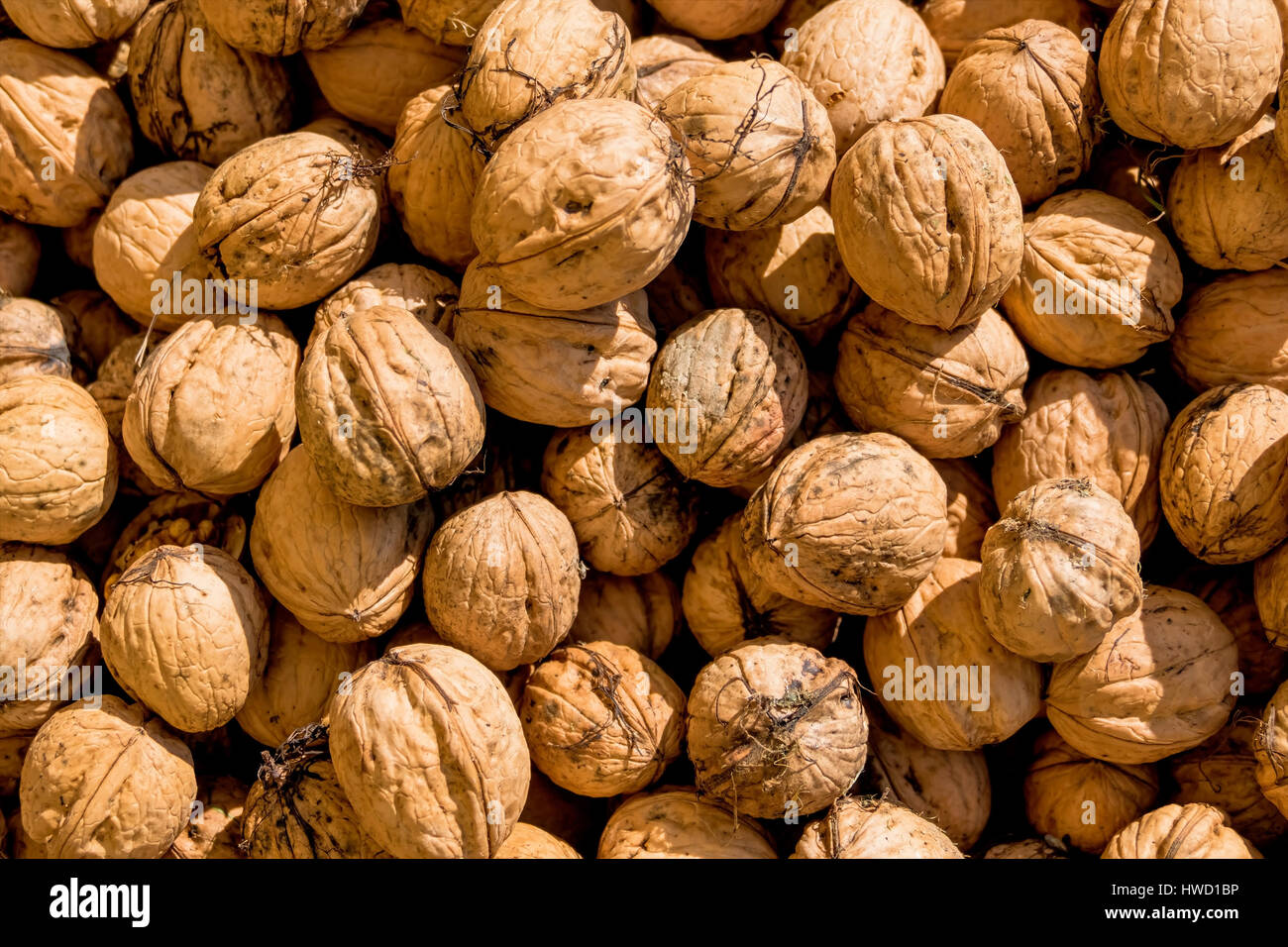 Many walnuts close-up, symbol for problems solve, fullness, hardness, Viele Walnüsse Nahaufnahme, Symbol für Probleme lösen, Fülle, Härte Stock Photo